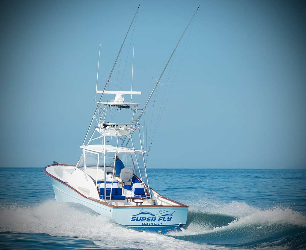 maverick yacht 36 out on the water