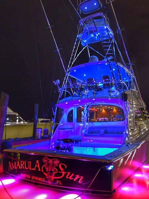 2016 Mississippi Gulf Coast Billfish Classic Amarula Sun