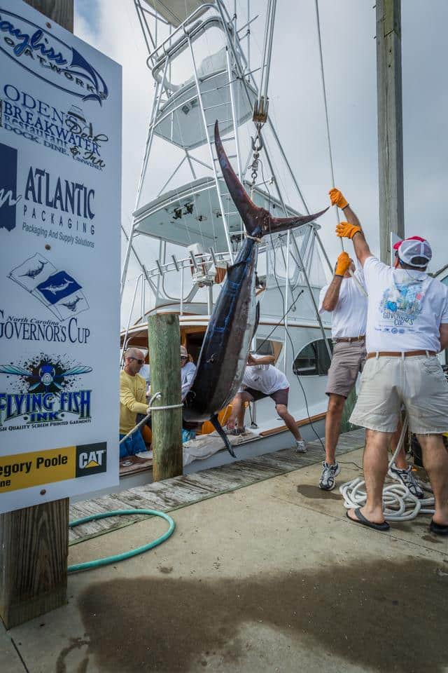 Molly Whopper unloads at the scales