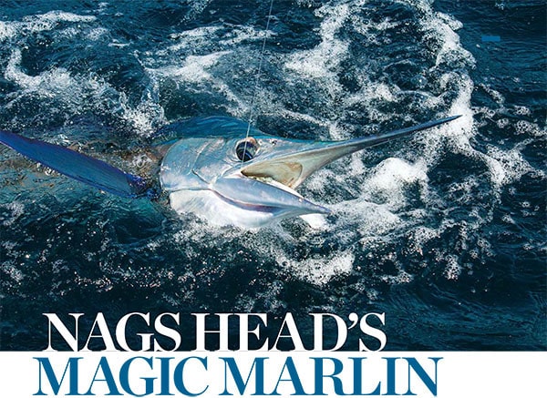 white marlin fishing in mid-Atlantic