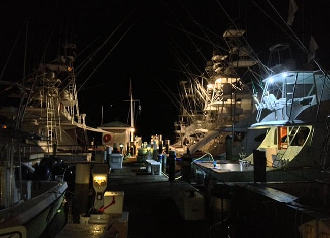 night-dock.jpg