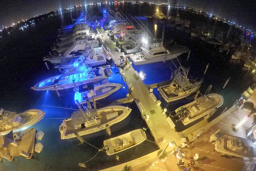 Sailfish Marina docks
