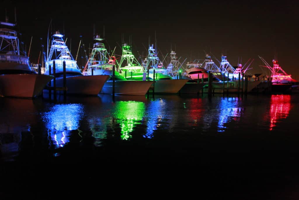 2016 White Marlin Open Ocean City Maryland night scene at marina