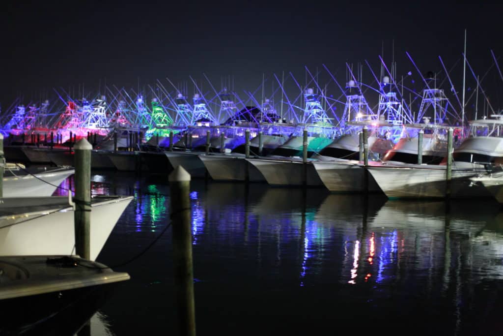 2016 White Marlin Open Ocean City Maryland night at the marina