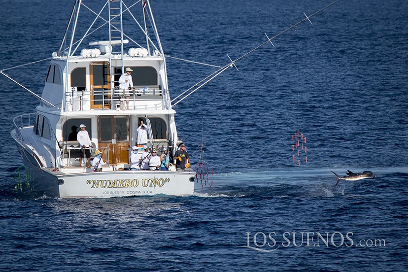 2017 Los Sueños Signature Triple Crown Leg II