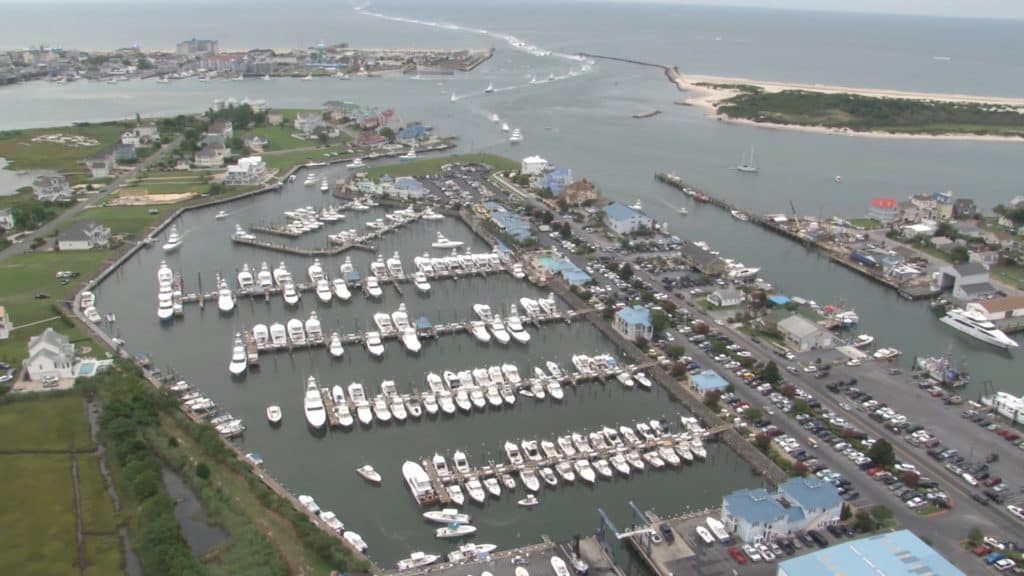 2016 White Marlin Open Ocean City Maryland
