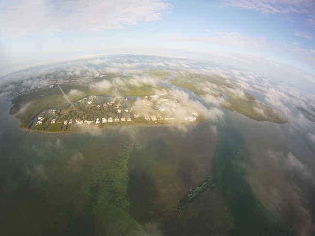 ocean-reef-cup01.jpg
