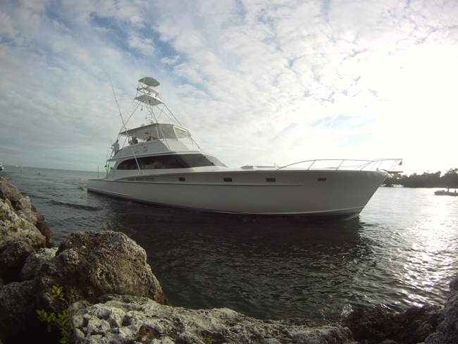ocean-reef-cup07.jpg