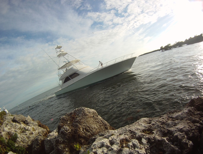 ocean-reef-cup08.jpg