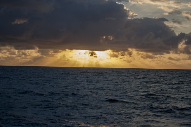 ocean-reef-cup21.jpg