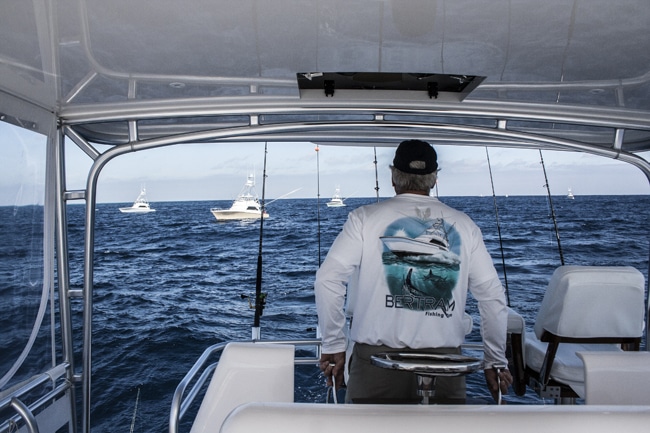 ocean-reef-cup34.jpg