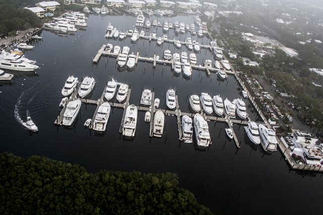 ocean-reef-cup39.jpg