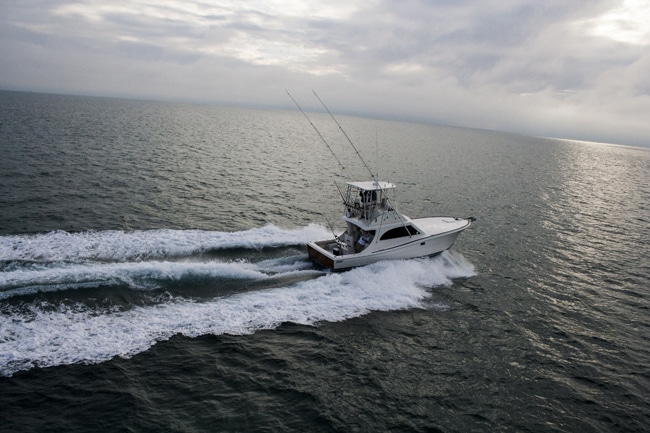 ocean-reef-cup40.jpg