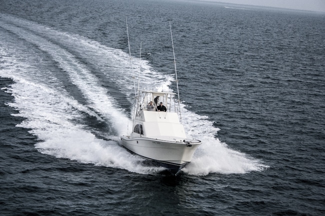 ocean-reef-cup41.jpg
