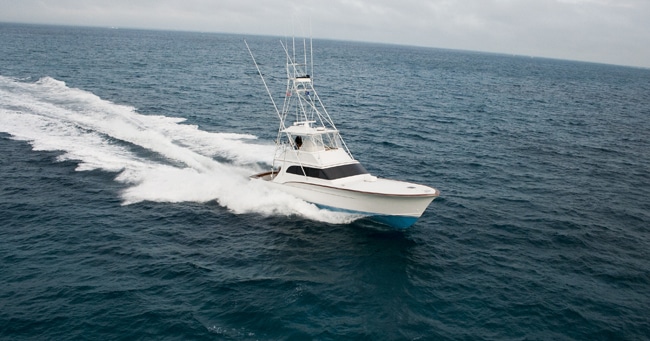 ocean-reef-cup45.jpg