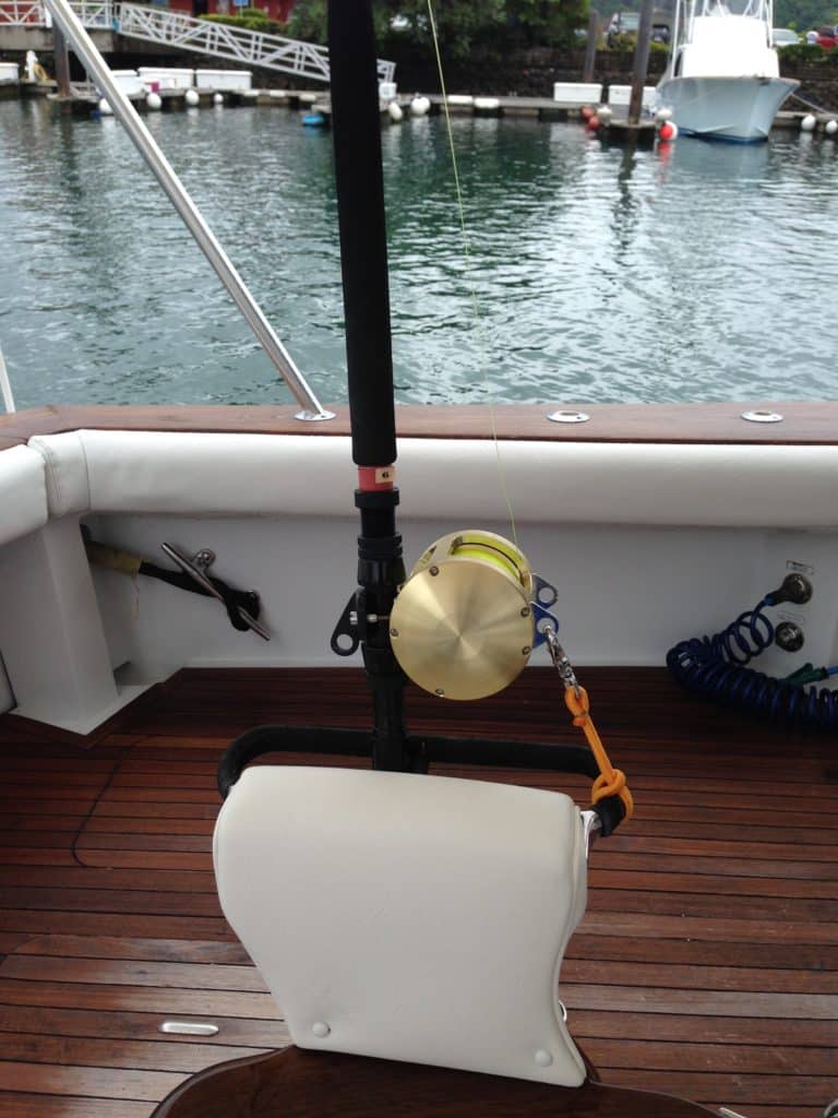 fishing rod in holder with bungee cord