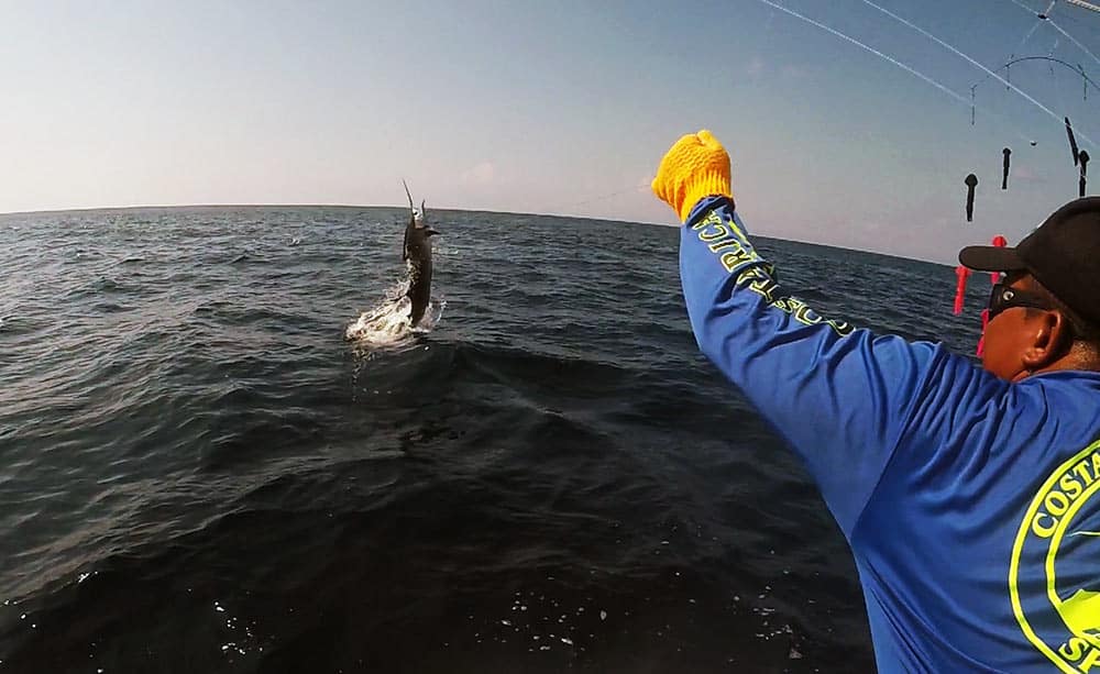 OWC 2018 day two sailfish