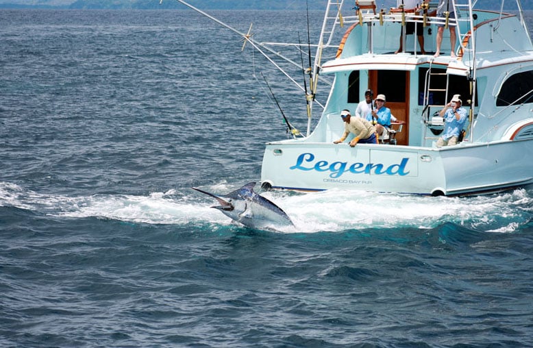 Panama Fishing Marlin