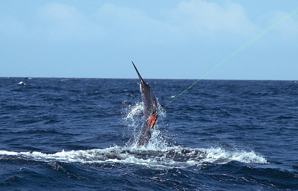fishing the Conflicts Islands