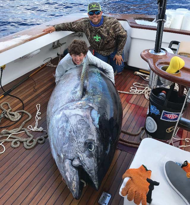 giant record bluefin tun