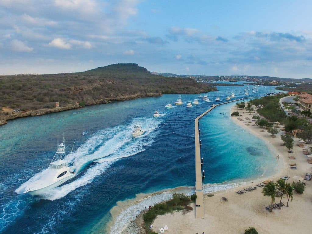 marlin sailfish fishing southern caribbean aruba bonaire curacao santa barbara resort