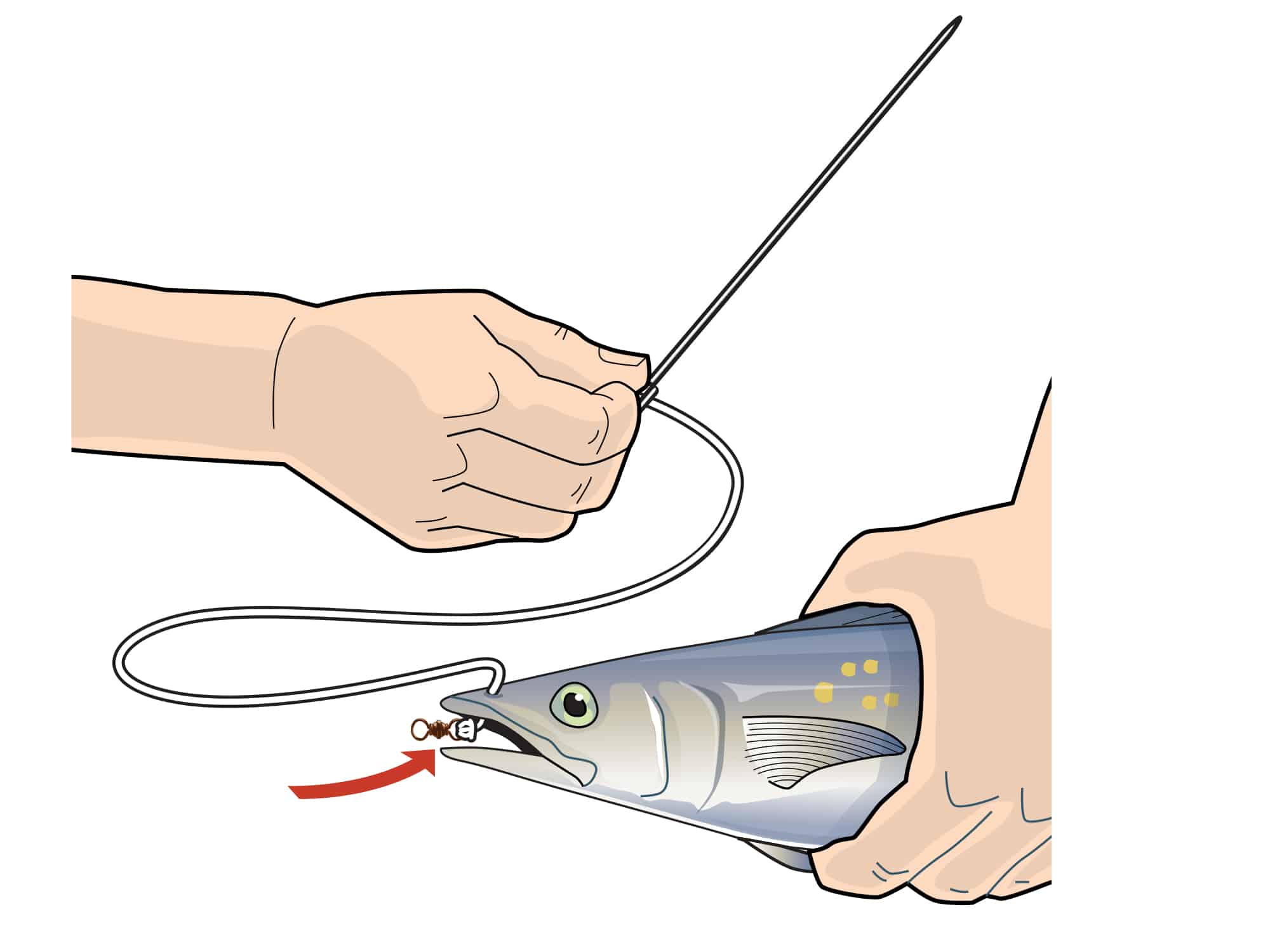 How to Rig a Mackerel Pitch Bait for Blue Marlin Marlin
