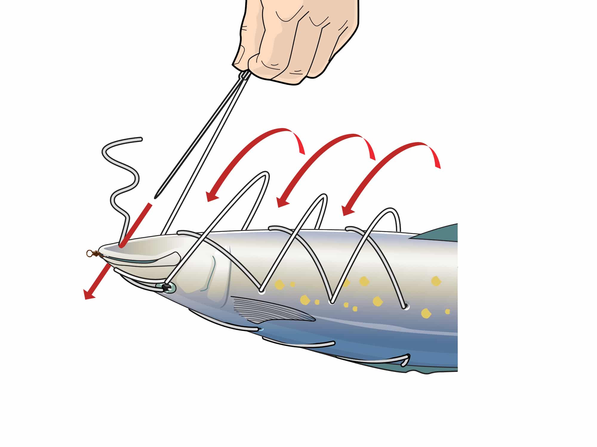 How to Rig a Mackerel Pitch Bait for Blue Marlin Marlin