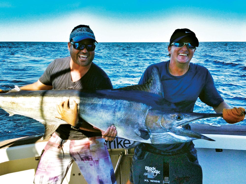 black marlin in Australia