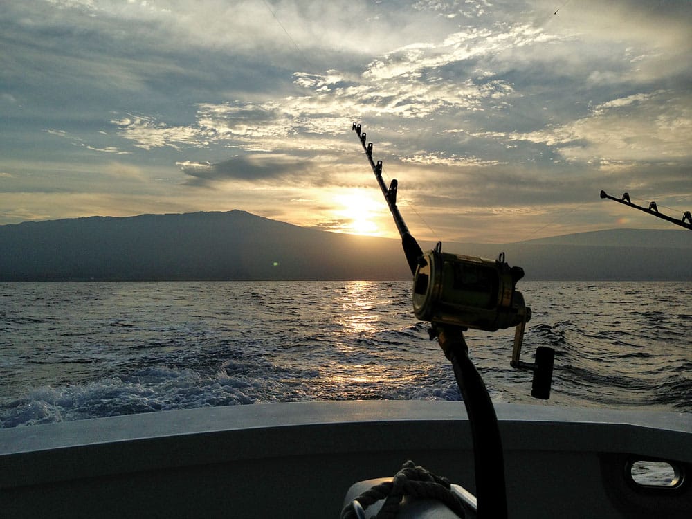 marlin fishing in Hawaii