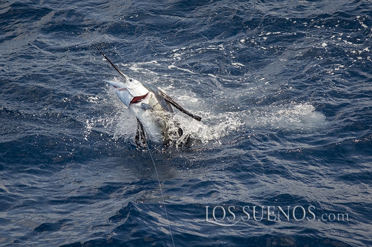 2017 Los Sueños Signature Triple Crown Leg 1 Costa Rica