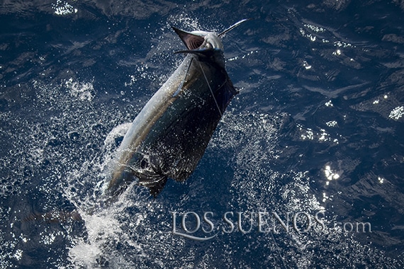 2017 Los Sueños Signature Triple Crown Leg 1 Costa Rica
