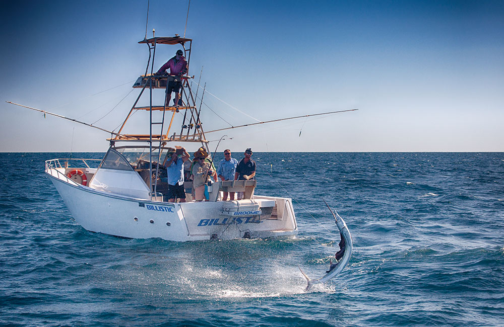 sailfish jumping behind billistic in australia