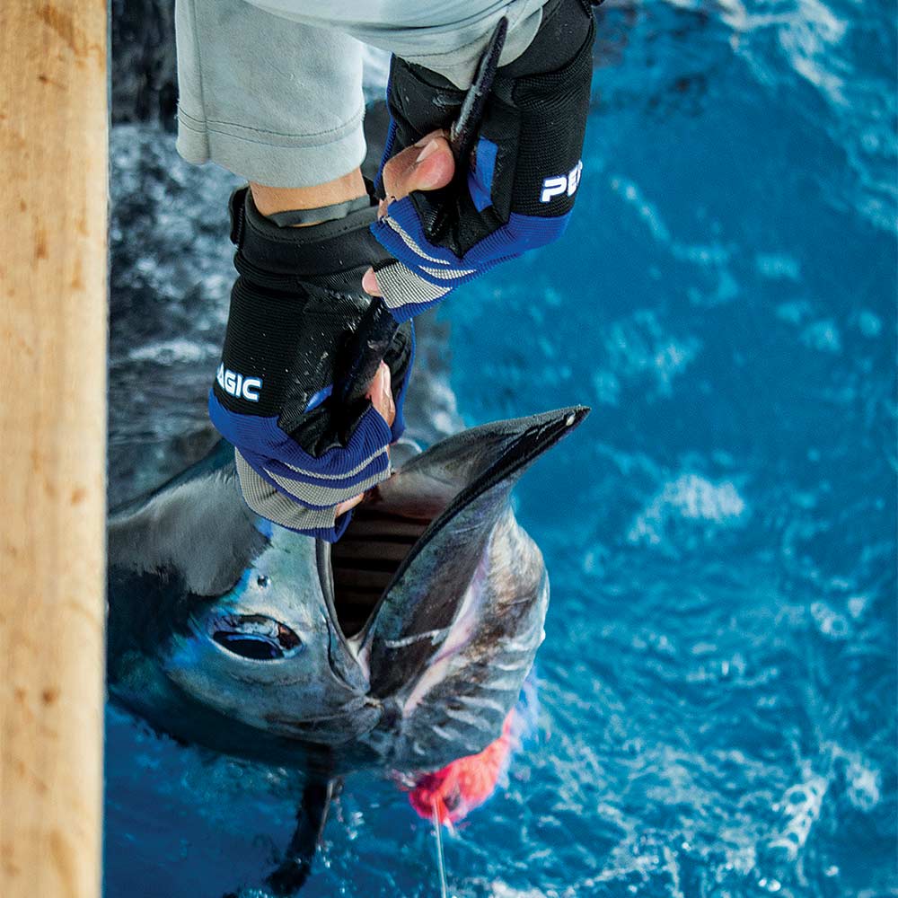 sailfish ready for release