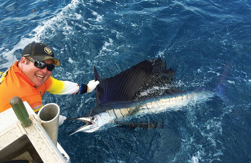 sailfish ready for release off broome australia