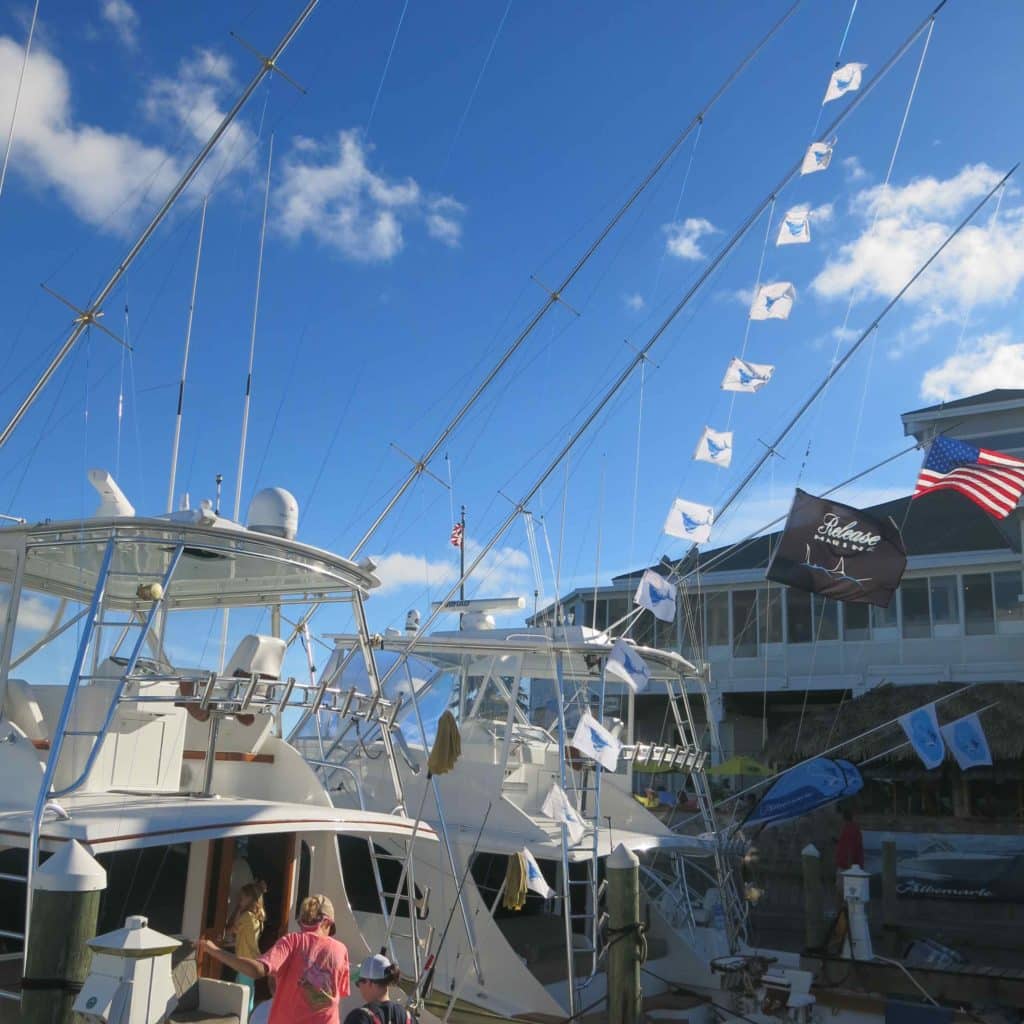 2016 Pirates Cove Billfish Tournament sailfish release flags