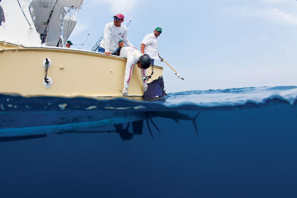 sailfish-tagging_11.jpg