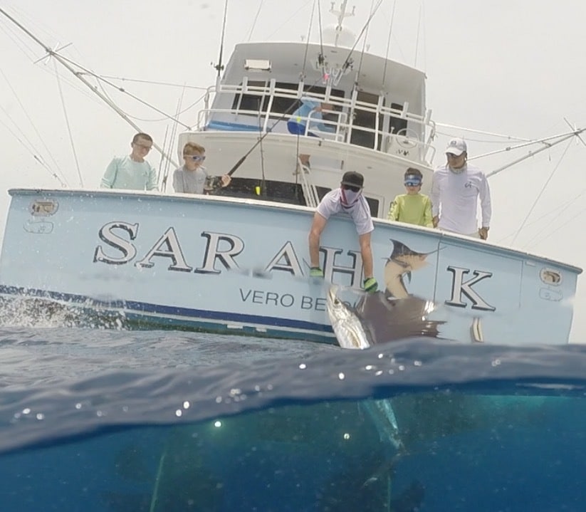 sarah k 2017 viking key west challenge