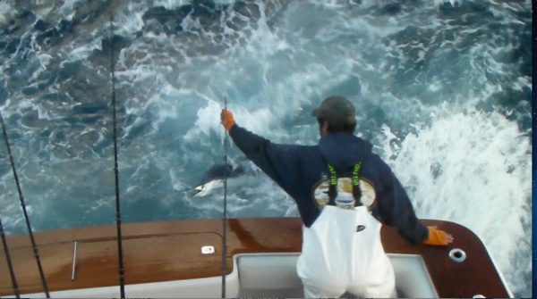 screen shot 2012-11-19 at 1.03.39 pm.jpg