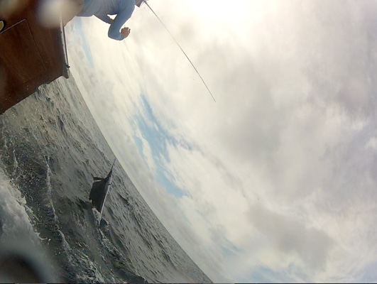 screen shot 2012-11-19 at 1.22.40 pm.jpg