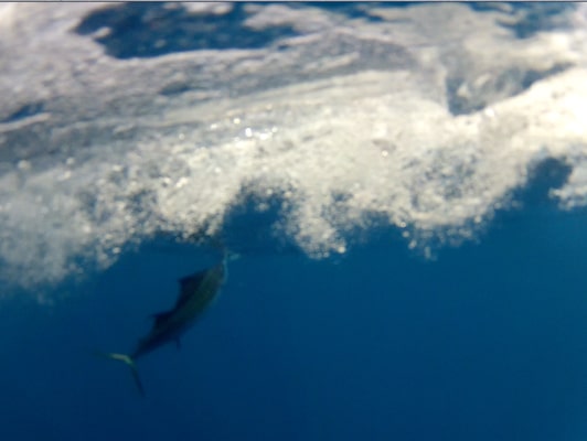 screen shot 2012-11-19 at 1.25.23 pm.jpg