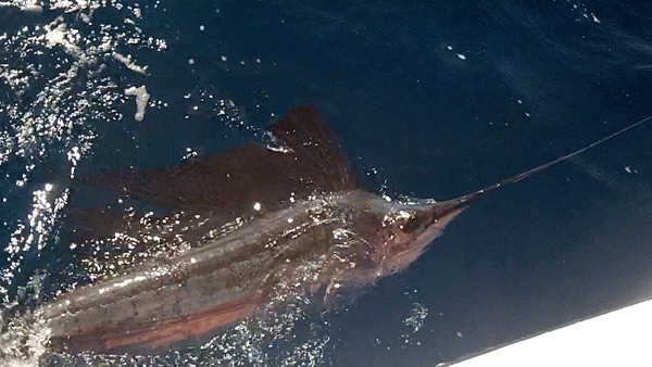 screen shot 2012-11-19 at 12.39.39 pm.jpg