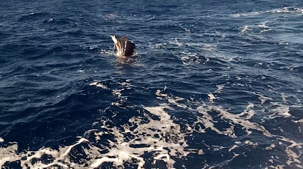 screen shot 2012-11-19 at 12.41.45 pm.jpg