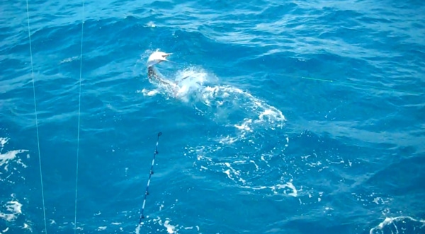 screen shot 2012-11-19 at 12.48.51 pm.jpg