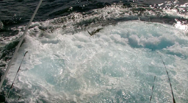 screen shot 2012-11-19 at 12.54.41 pm.jpg