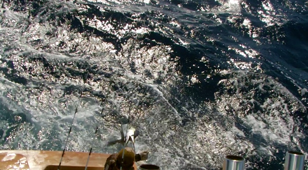 screen shot 2012-11-19 at 12.57.31 pm.jpg