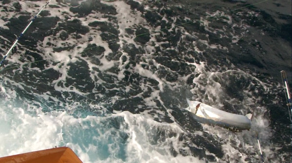 screen shot 2012-11-19 at 12.58.35 pm.jpg