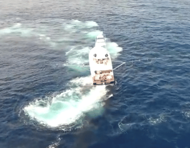 reel fire summer blue marlin fishing gulf of mexico