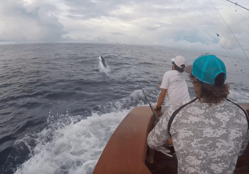 Sea Angel Costa Rica blue marlin fishing Los Suenos