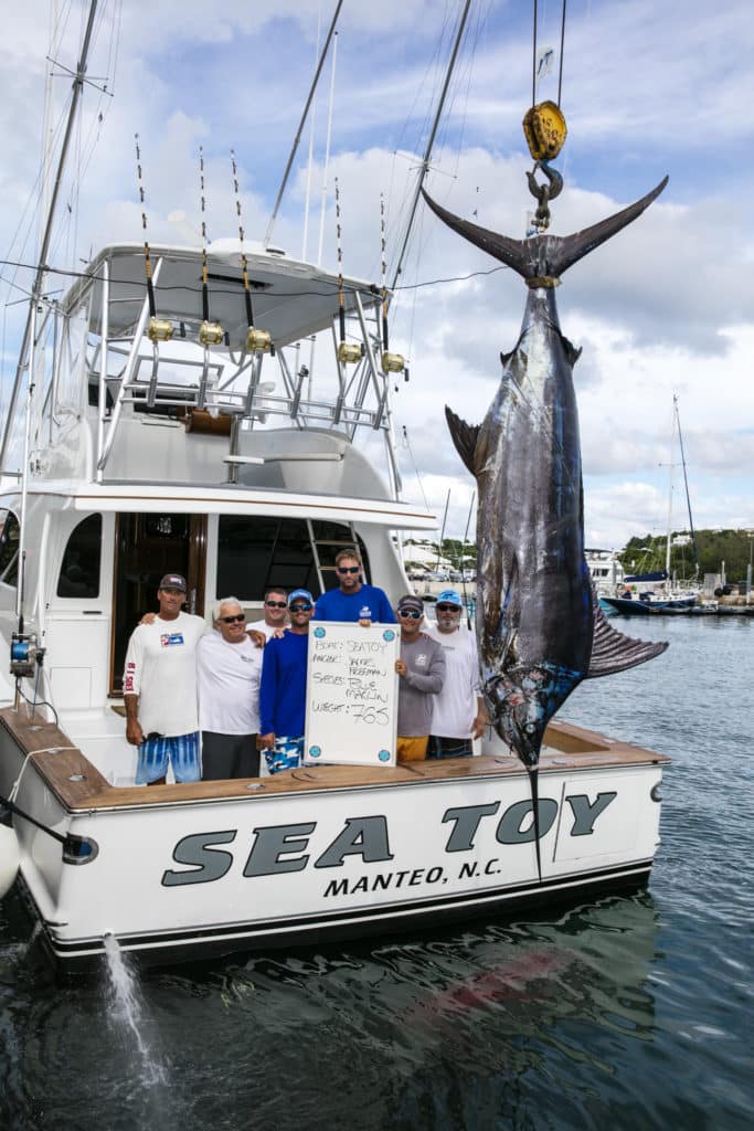 2016 Sea Horse Anglers Club Tournament Bermuda Sea Toy largest blue marlin