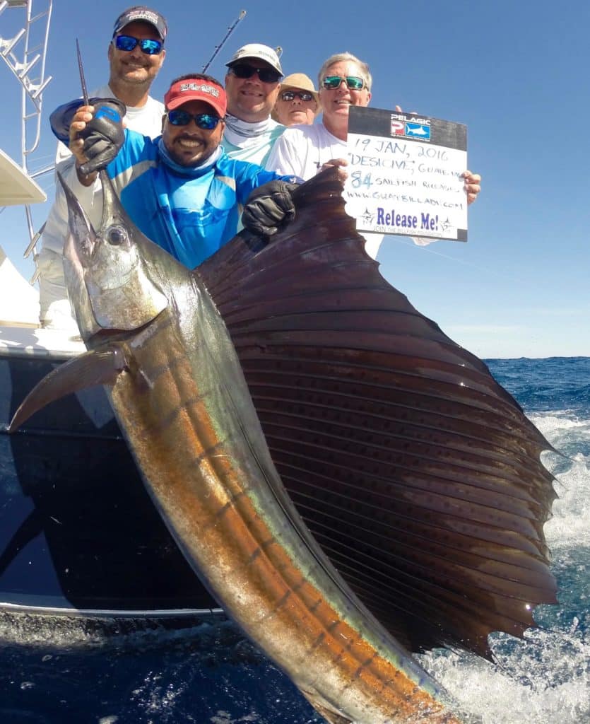 guatemala billfish marlin sailfish